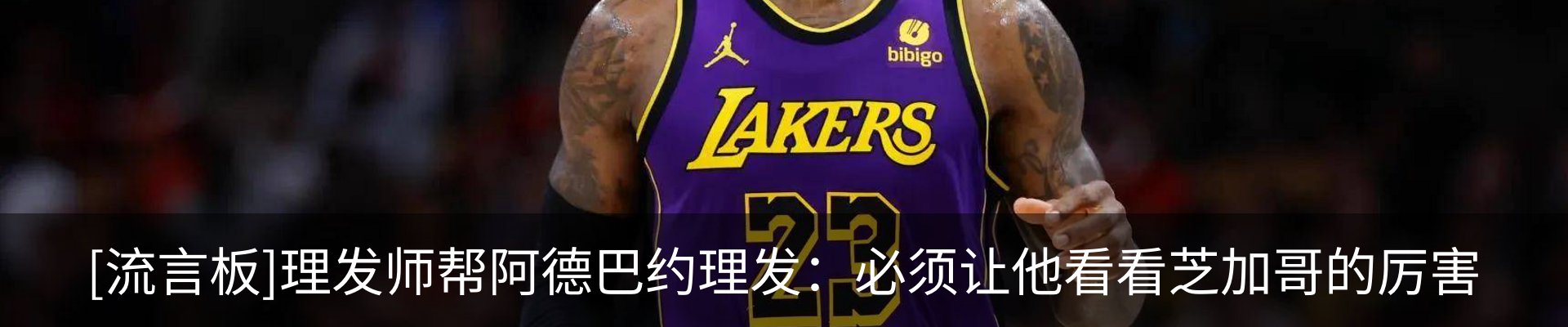 新闻动态